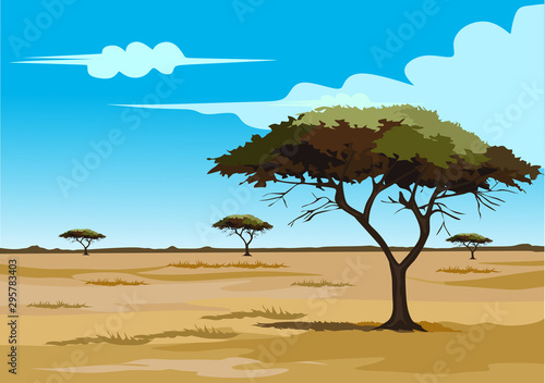 savana on africa for background and image illustartion