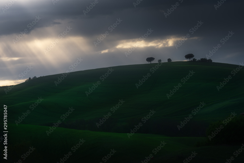 Fototapeta premium Tuscany, Italy