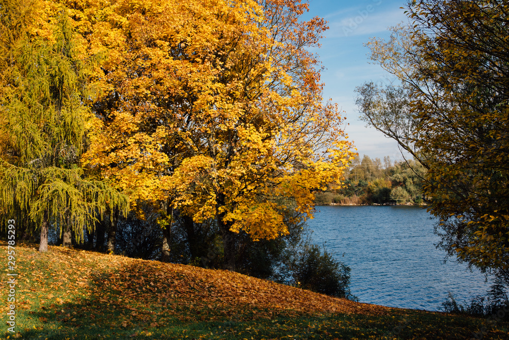 un parc en automne. Un arbre en automne vers un lac. Un arbre automnal et un lac. Le lac des Prés St Jean à Chalon-sur-Saône. un parc en automne. Un arbre en automne vers un lac. Un arbre automnal et un lac. Le lac des Prés St Jean à Chalon-sur-Saône.
