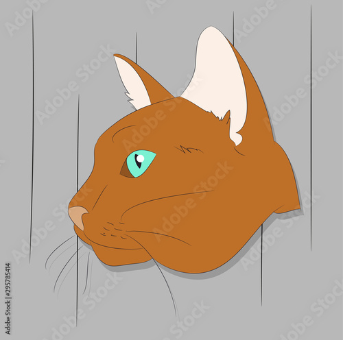 vector illustration of a portrait of a cat on a colored background