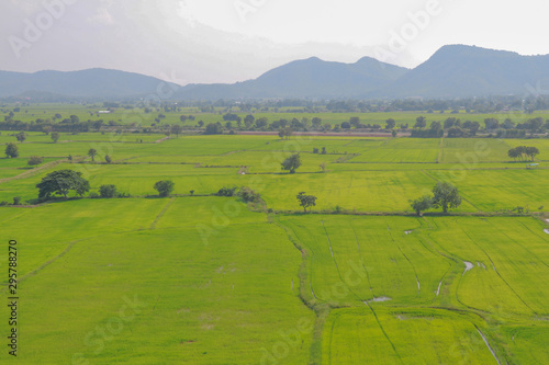 landscape with green field and blue sky