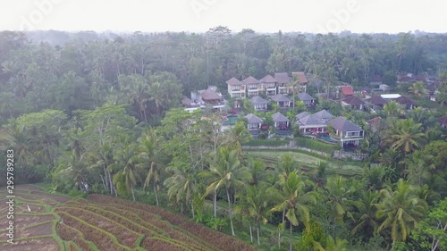 Drone flying over Ubud Bali rice paddy photo