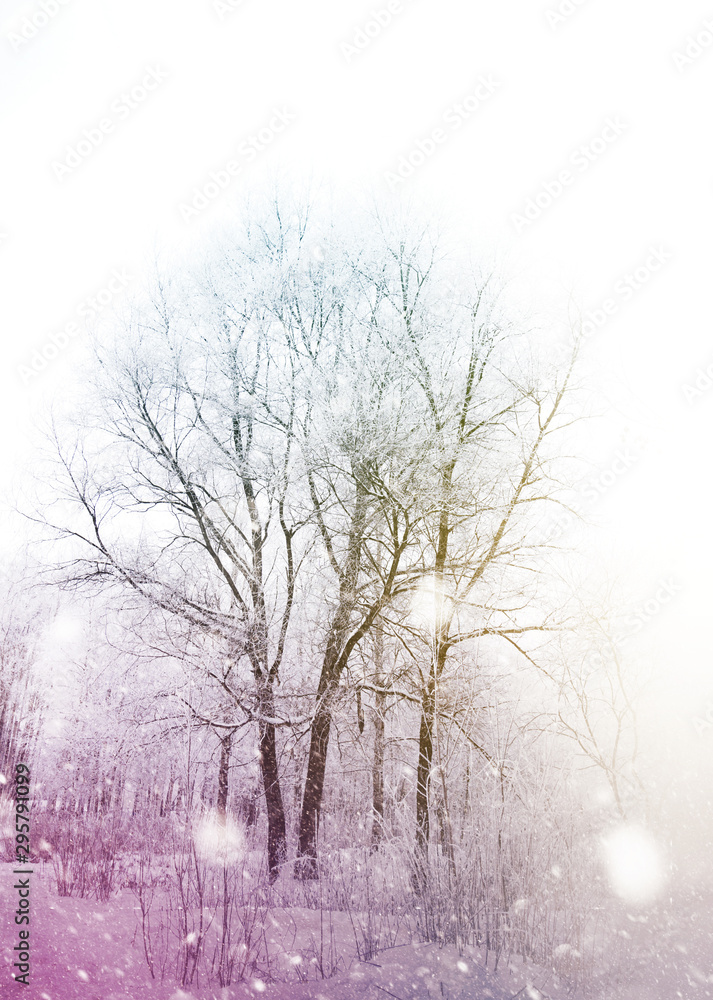 Trees under snowfall design Trees under snowfall design