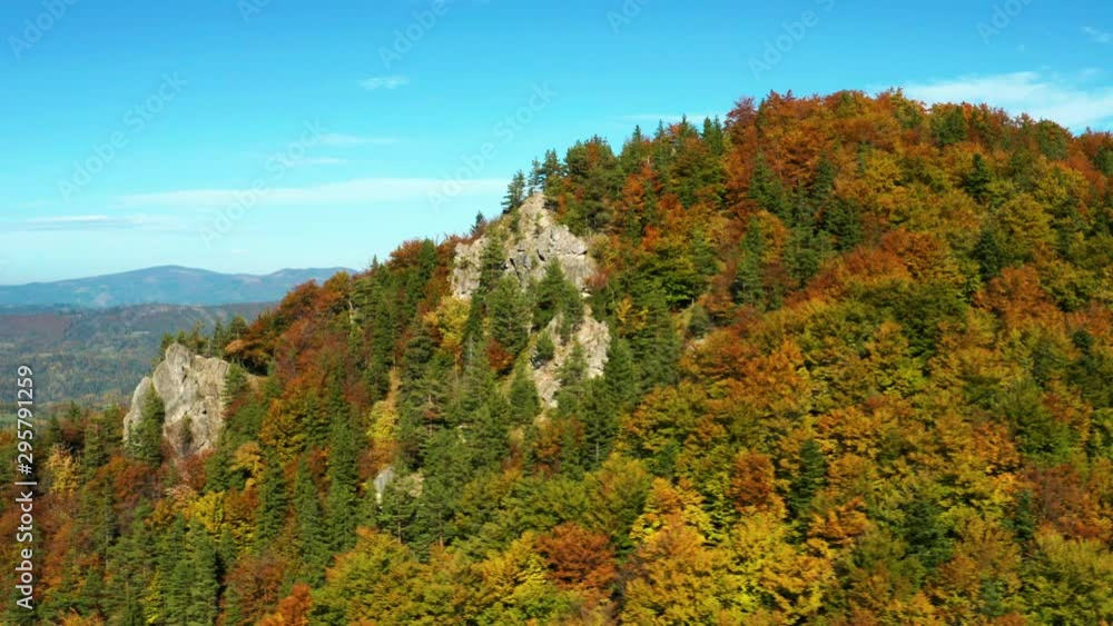 Aerial Shot Of beautifully colored trees in the mountains in autumn Aerial Shot Of beautifully colored trees in the mountains in autumn