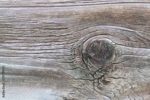 Texture of a cut old dry knotted board with cracks, background