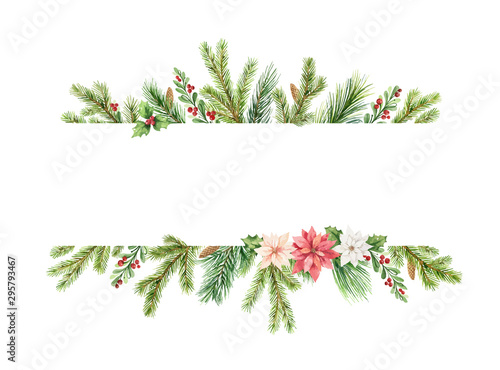Watercolor vector Christmas banner with fir branches, flowers of poinsettia.