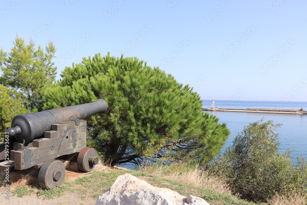 Canon en premier plan avec vue sur le phare de Port-Vendres et la mer Méditerranée - Pinus pinaster