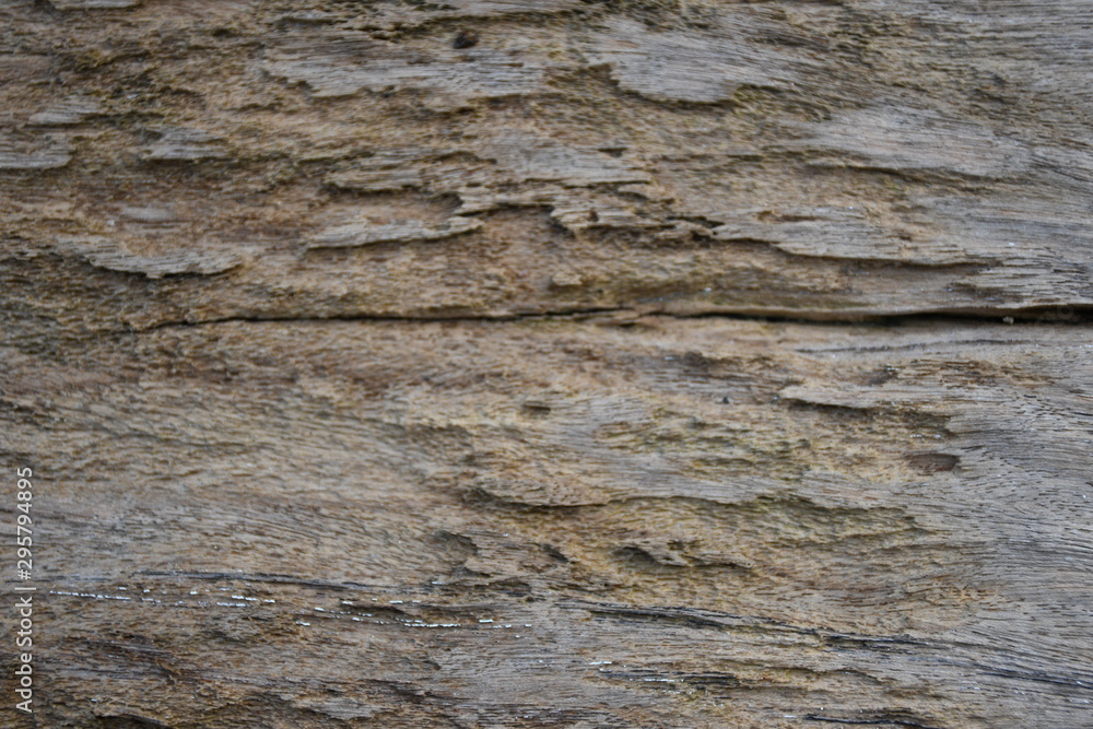 old wood texture of wall old wood texture of wall