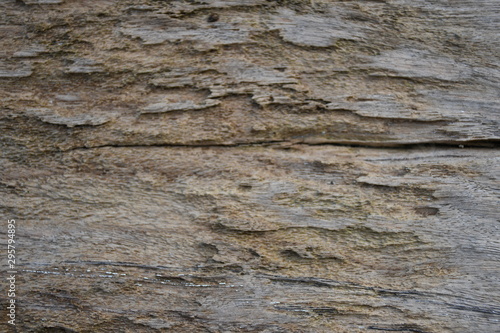 old wood texture of wall