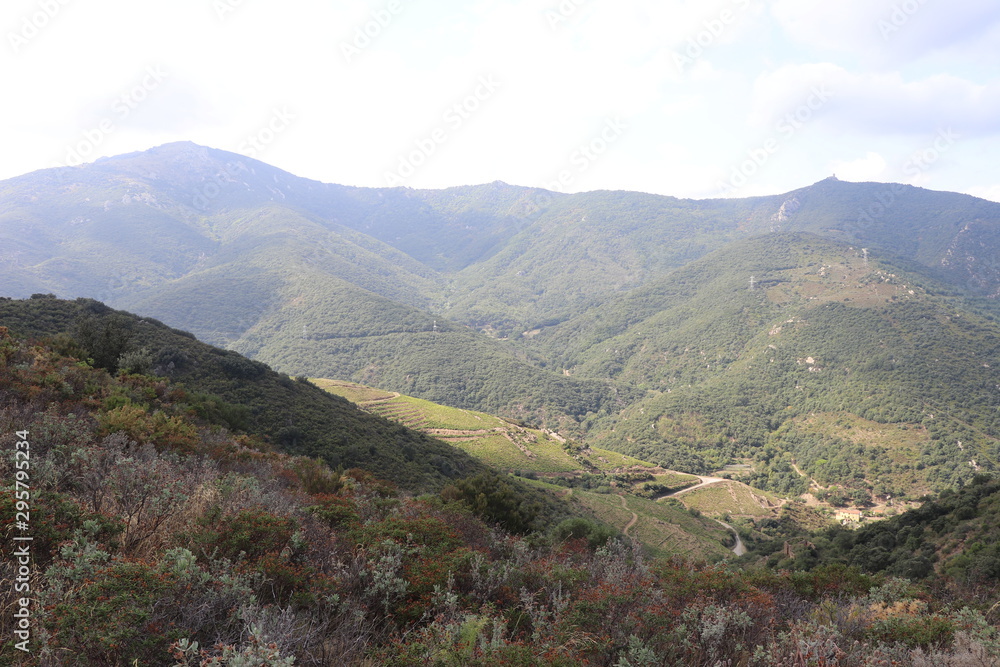 Massif de la Massane Massif de la Massane