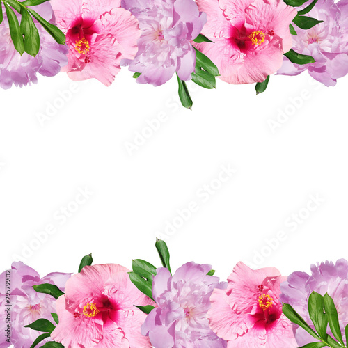 Beautiful floral background of peonies and hibiscus. Isolated © Ann-Mary