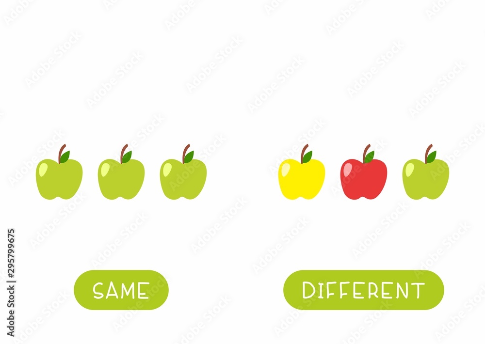 Educational word card for children vector template. Flash card for