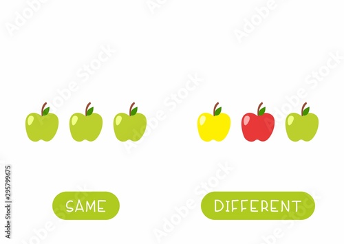 Educational word card for children vector template. Flash card for language studying with apples. Antonyms, diversity concept. Same and different fruits flat illustration with typography