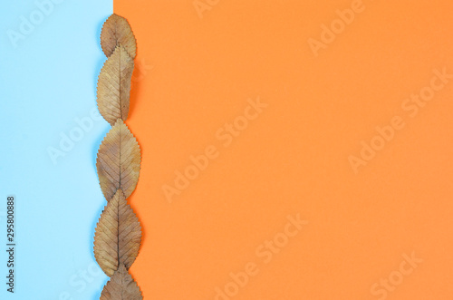 Autumn composition background. Vertical row of rusty dried leaves on blue-orange backdrop with empty center for text .Top view, copy space, flat lay .
