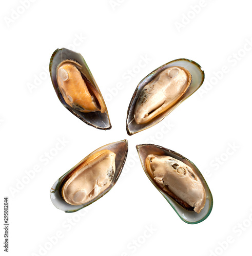 Mussel on white background seafood