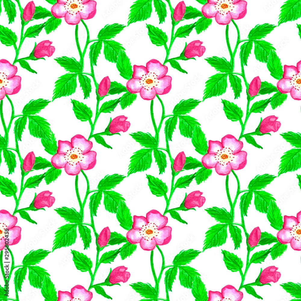 Watercolor flowers and rosehips branches seamless pattern. Hand drawn pattern. Isolated background Cloth design. White background. Romantic watercolor illustration. Decoration illustration.