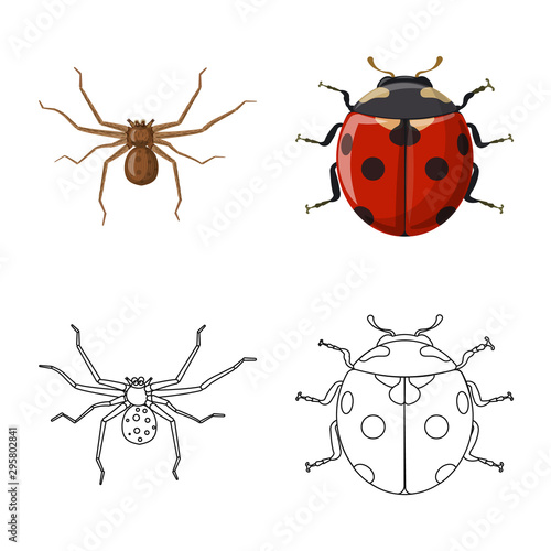 Isolated object of insect and fly logo. Collection of insect and element stock symbol for web. © Svitlana