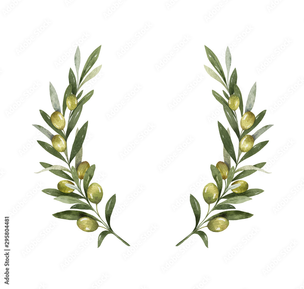 Watercolor vector wreath of olive branches and berries. Stock Vector ...