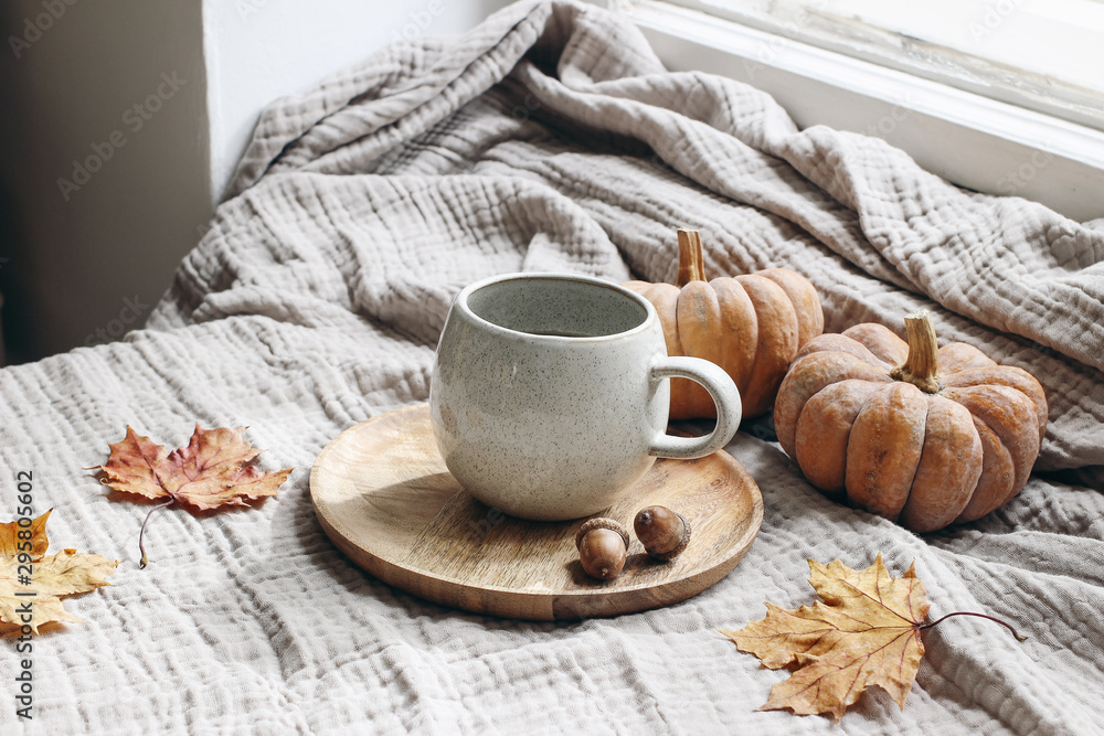 Cozy autumn morning breakfast still life scene. Cup of hot coffee, tea standing on wooden plate near window. Fall, Thanksgiving concept. Orange pumpkins, acorns and maple leaves on cotton plaid. Cozy autumn morning breakfast still life scene. Cup of hot coffee, tea standing on wooden plate near window. Fall, Thanksgiving concept. Orange pumpkins, acorns and maple leaves on cotton plaid.