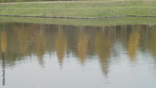 Wallpaper Mural Calm water in a pond with trees in the reflection Torontodigital.ca