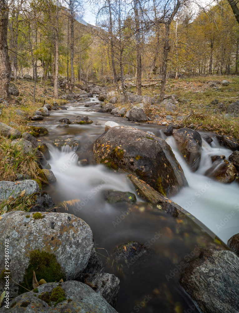 mountain river on a background of autumn trees mountain river on a background of autumn trees