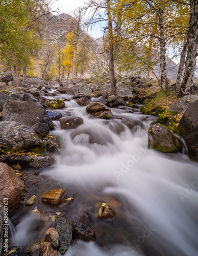 mountain river on a background of autumn trees