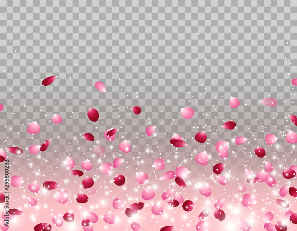 Flowers petals falling effect isolated on transparent background. Vector red and pink rose elements backdrop.