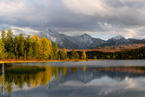 Amazing Altai nature landscape of calm Kidelu lake surrounded by colorful sunny autumn forest and incredible mountain ice peaks of Siberia, trees grow on shore with blue cloudy sky. Altai, Siberia.