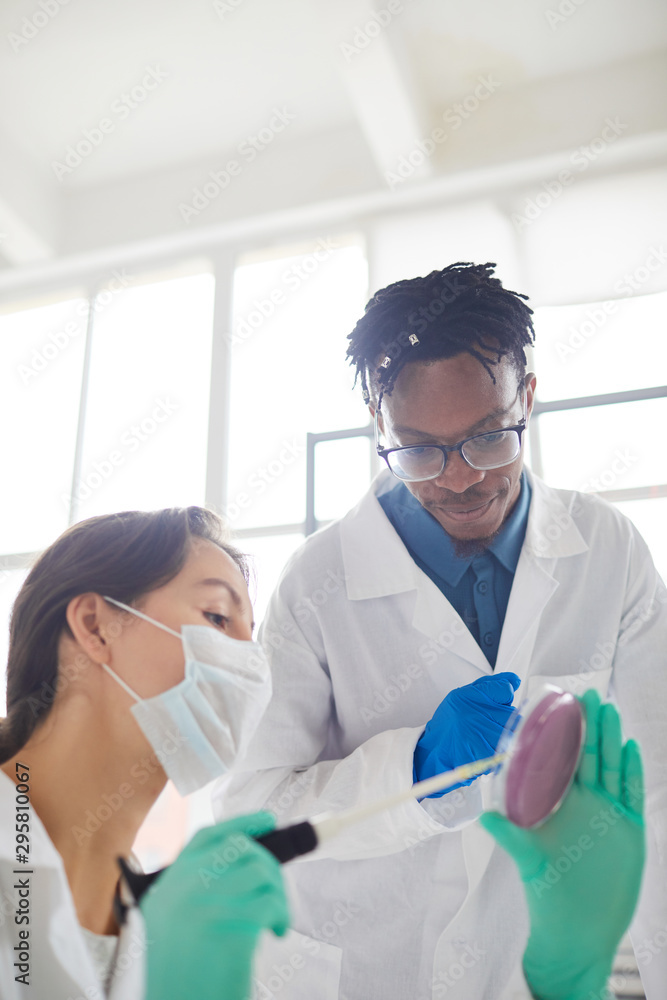 Multi-ethnic team of scientists working in medical laboratory inspecting bacteria in petri dish, copy space Multi-ethnic team of scientists working in medical laboratory inspecting bacteria in petri dish, copy space