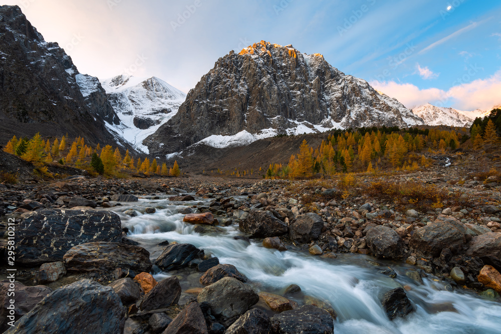 Amazing autumn Altai nature landscape of Aktru valley, mountain ice peaks of Siberia, fast mountain river with big stones, trees grow on shore and blue sky at sunrise on background. Altai, Siberia