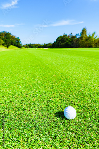 ゴルフ ゴルフボール ボール フェアウェイ ラウンド 青空 戦略 ビジネス マナー マネジメント
