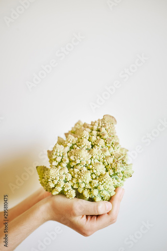 Children's hands hold cabbage varieties of Romanescu on a light background