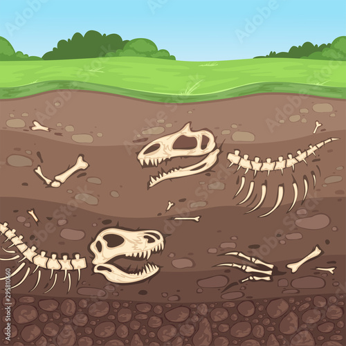 Archeology bones. Underground dinosaur bones soil layers buried clay vector cartoon illustration. Dinosaur skeleton in earth, ancient skull