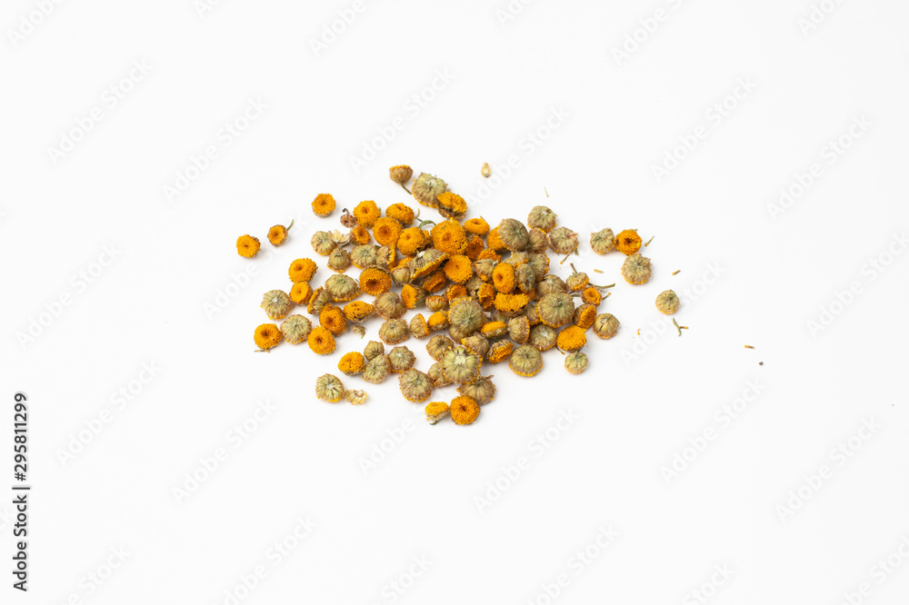 Dried flowers of tansy plant on white background Dried flowers of tansy plant on white background