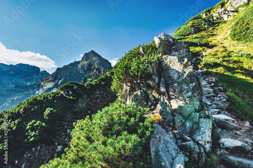 Fototapeta Naklejka Na Ścianę i Meble -  Hiking trail in Tatra mountains in Poland. Toward Koscielec peak