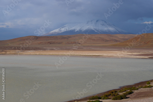 Laguna Honda. Snow-capped volcanoes and desert landscapes in the highlands of Bolivia. Andean landscapes of the Bolivia Plateau