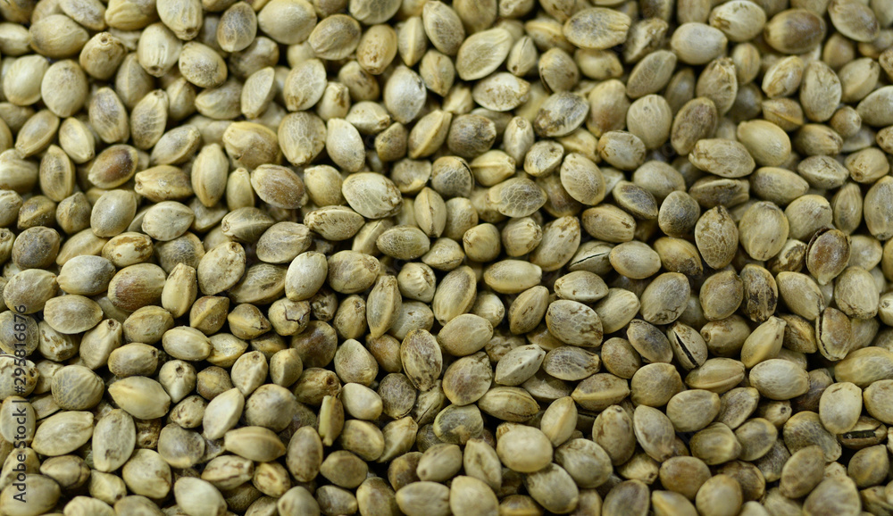 Many cannabis seeds lying on the ground, close up Many cannabis seeds lying on the ground, close up