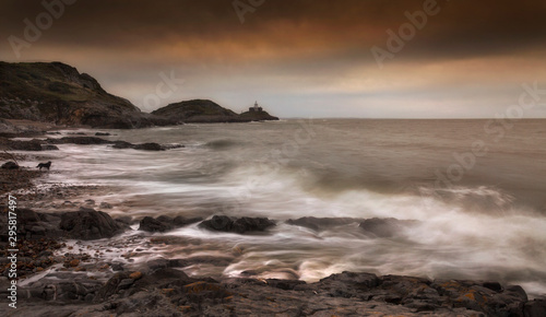 A dog and a long exposure at Bracelet Bay on the Gower peninsula in Swansea, South Wales, UK © leighton collins
