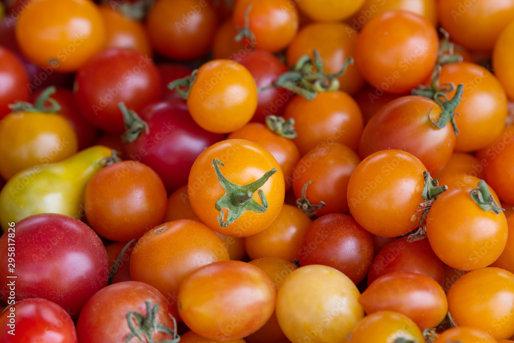 Stacked of ripe tomato organic after harvested