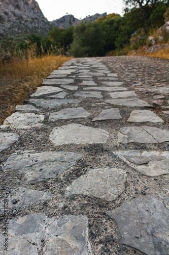 Stones path surrounded by autumnal vegetation in the mountains