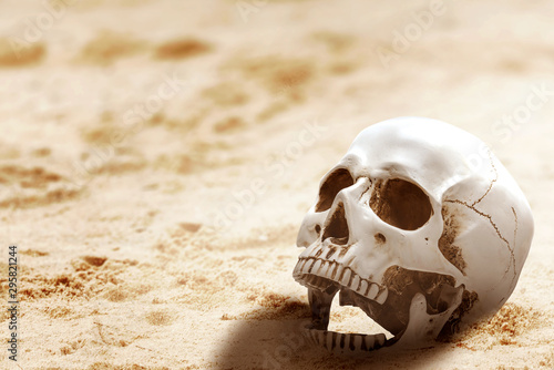 Human skull on the sand