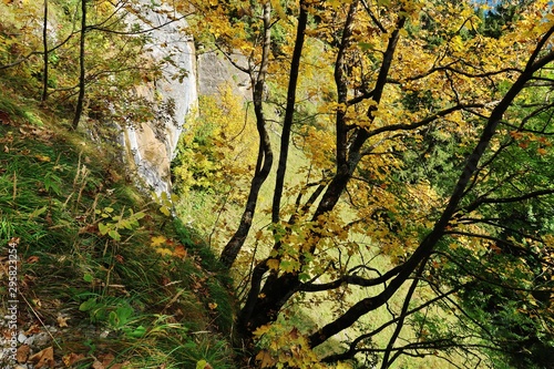 Herbst im Alpstein  Appenzellerland  Ostschweiz