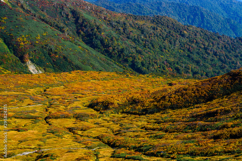 Naklejka premium 月山牛首下