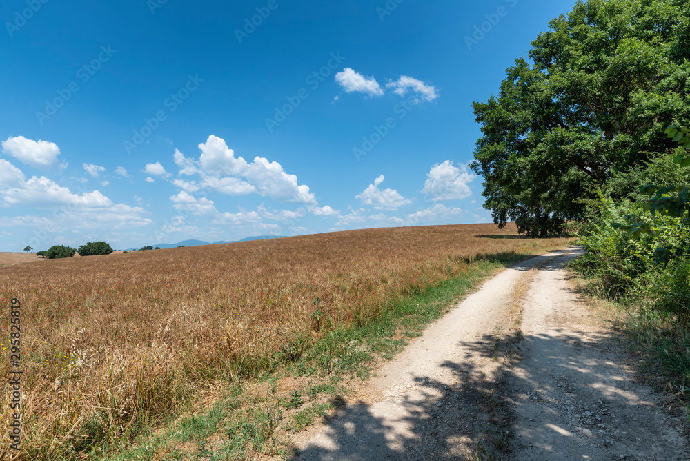 Rural landscape in the Rome province