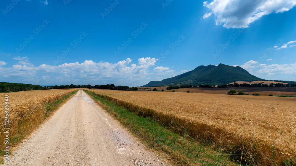 Rural landscape in the Rome province Rural landscape in the Rome province