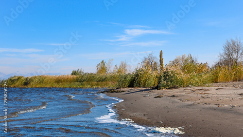 Fototapeta Naklejka Na Ścianę i Meble -  Autumn landscape - the sandy shore of the sea or river with small waves with white foam and thickets of reeds and bushes in the background