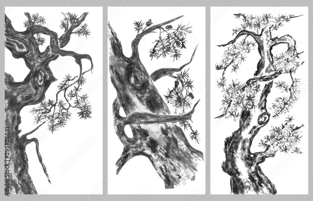 Obraz premium Set of chinese pines. Japanese watercolor. Indian ink illustration of tree in style sumi-e, go-hua, u-sin for tattoo. Oriental traditional painting. Isolated on the white background.