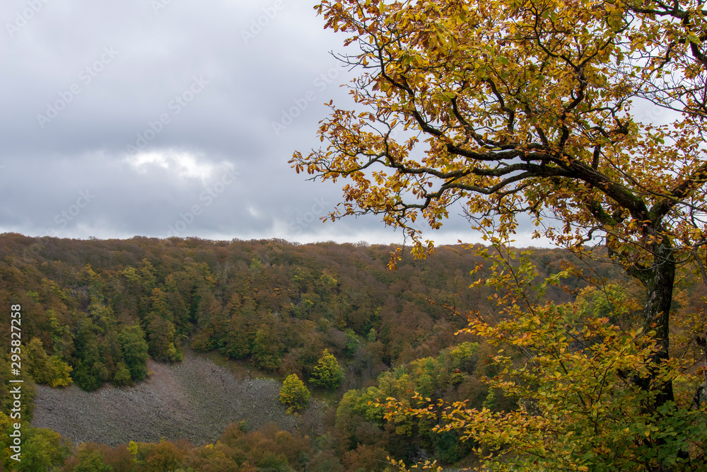 Naklejka premium autumn landscape with trees and blue sky