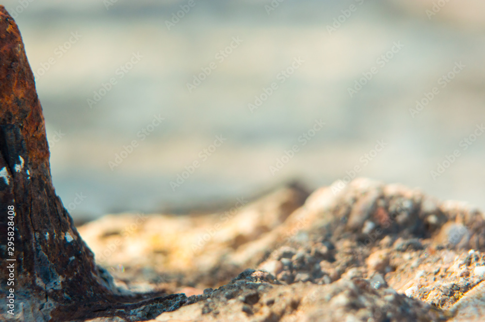 Stones on the beach. Macro photography