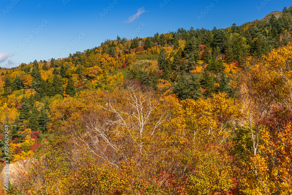 Towada Hachimantai National Park in early autumn Towada Hachimantai National Park in early autumn